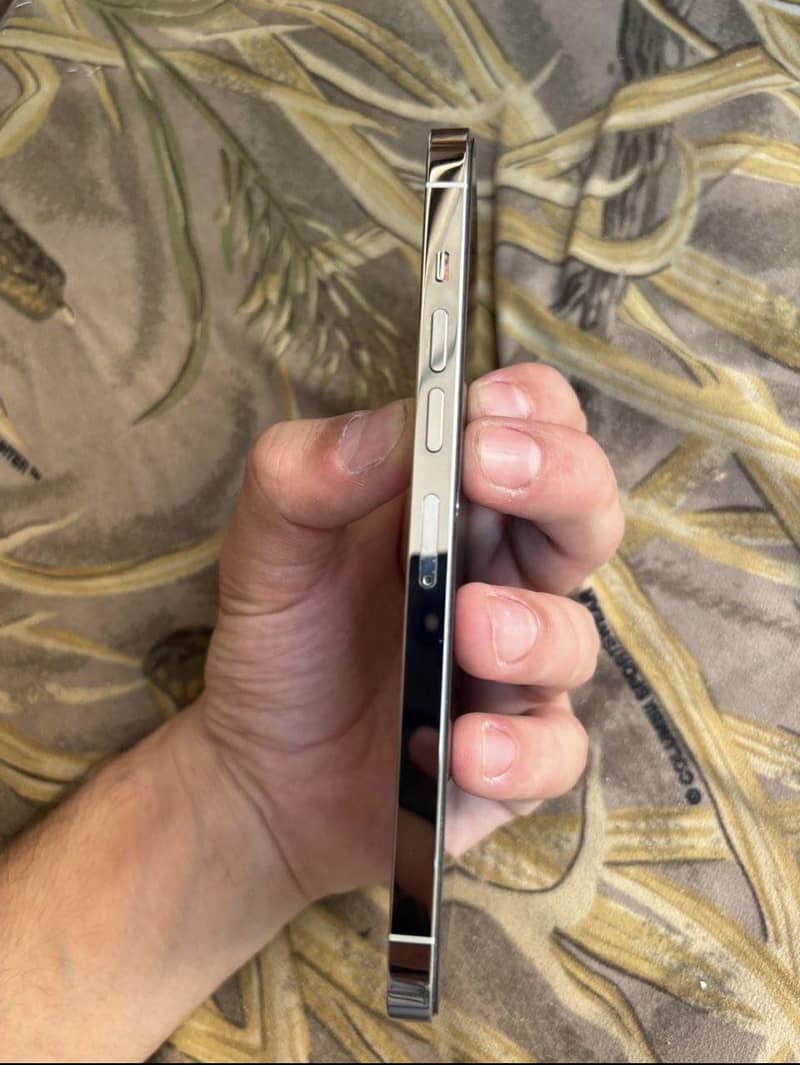 Apple iPhone 13 Pro Max 0