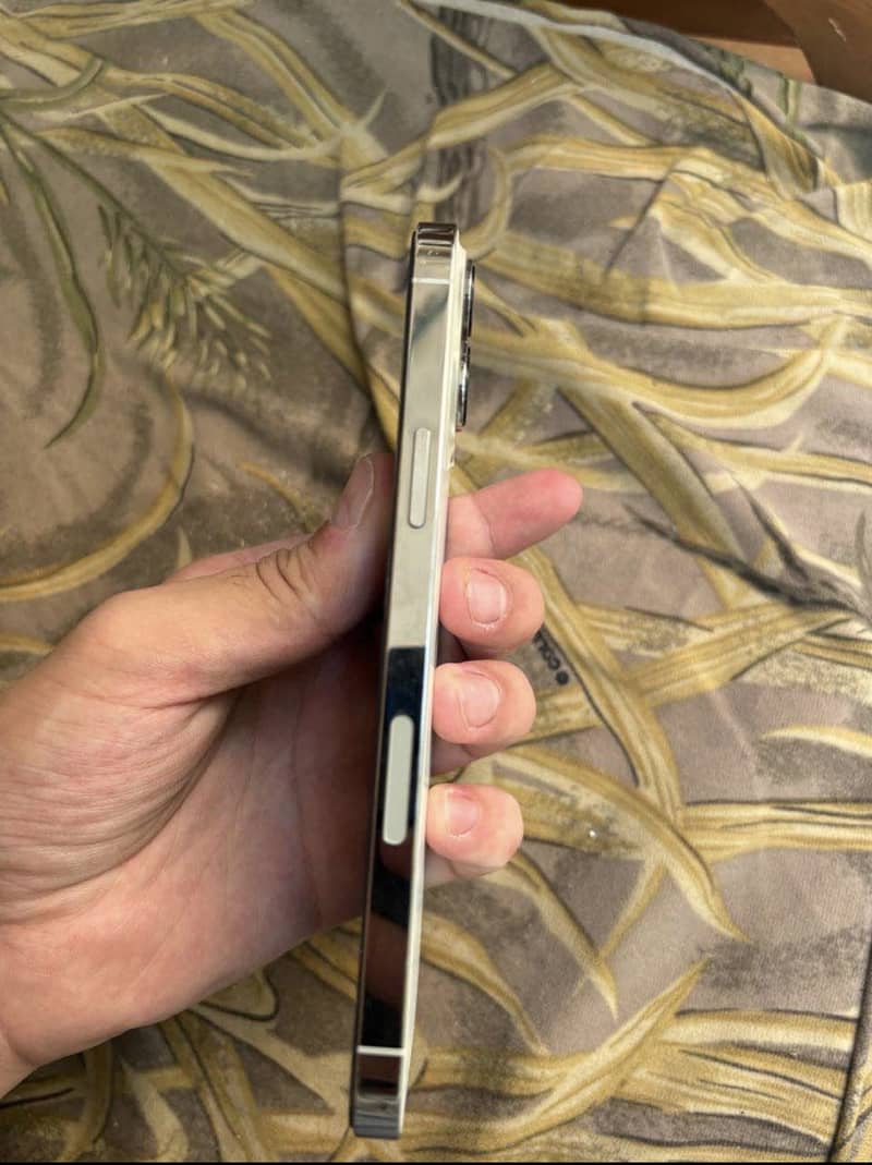 Apple iPhone 13 Pro Max 4