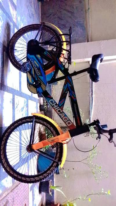 Cycle