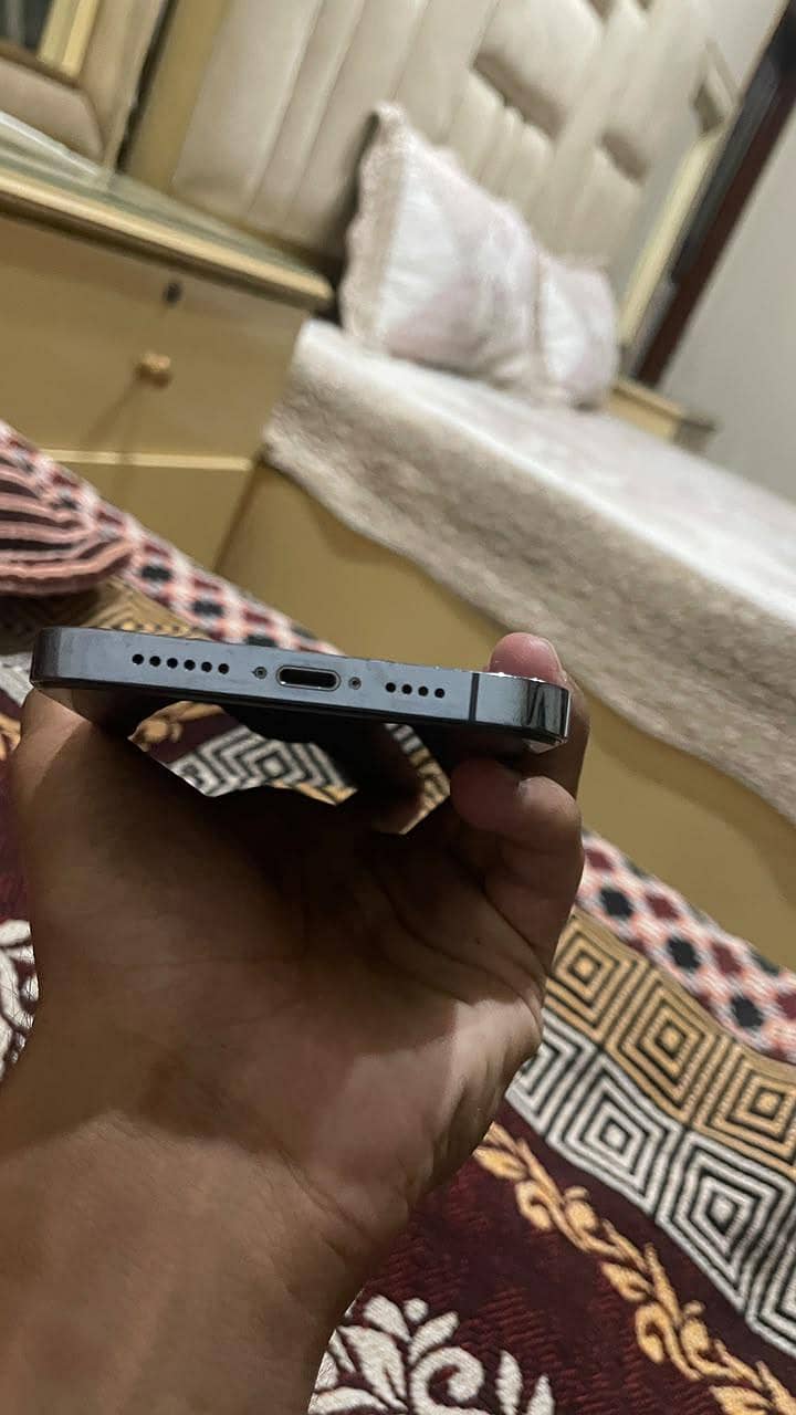 Apple iPhone 13 Pro Max 1