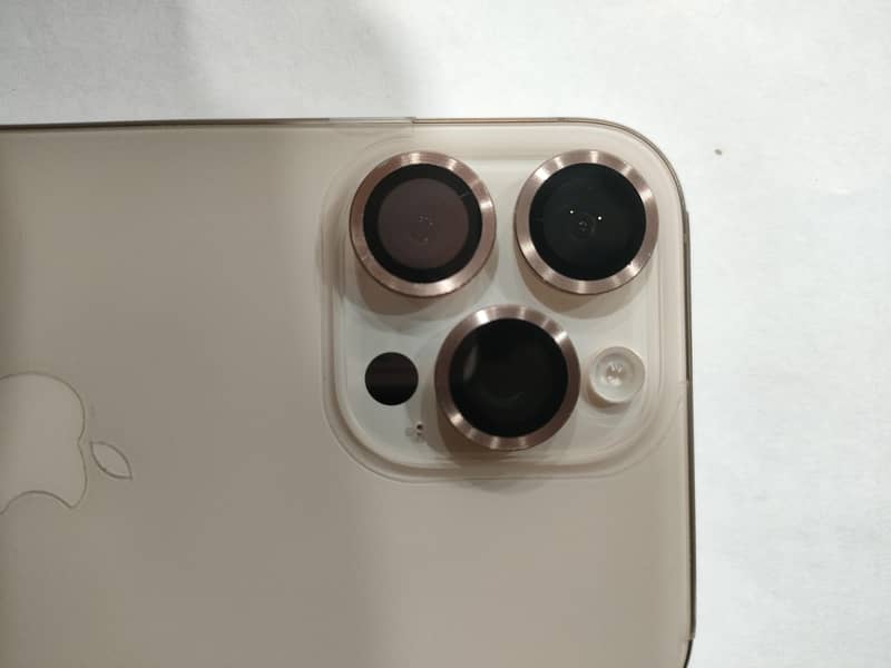 Apple iPhone 16 Pro Max 1
