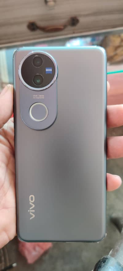Vivo V50 12/512