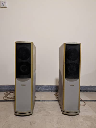 TEAC LS-B500 Mini Tower Speakers