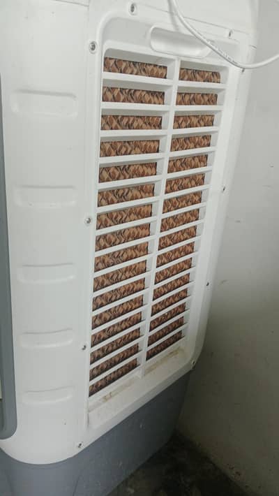 royal air color for sale. 03224744782