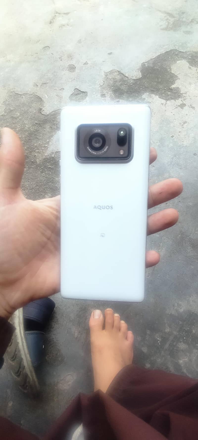 Aquos r6 0