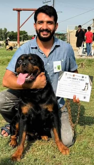 rottweiler breeder 100 present result