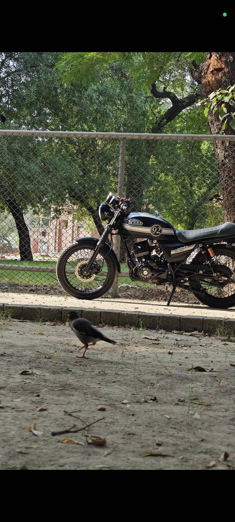 Hi Speed Infinity 150 2