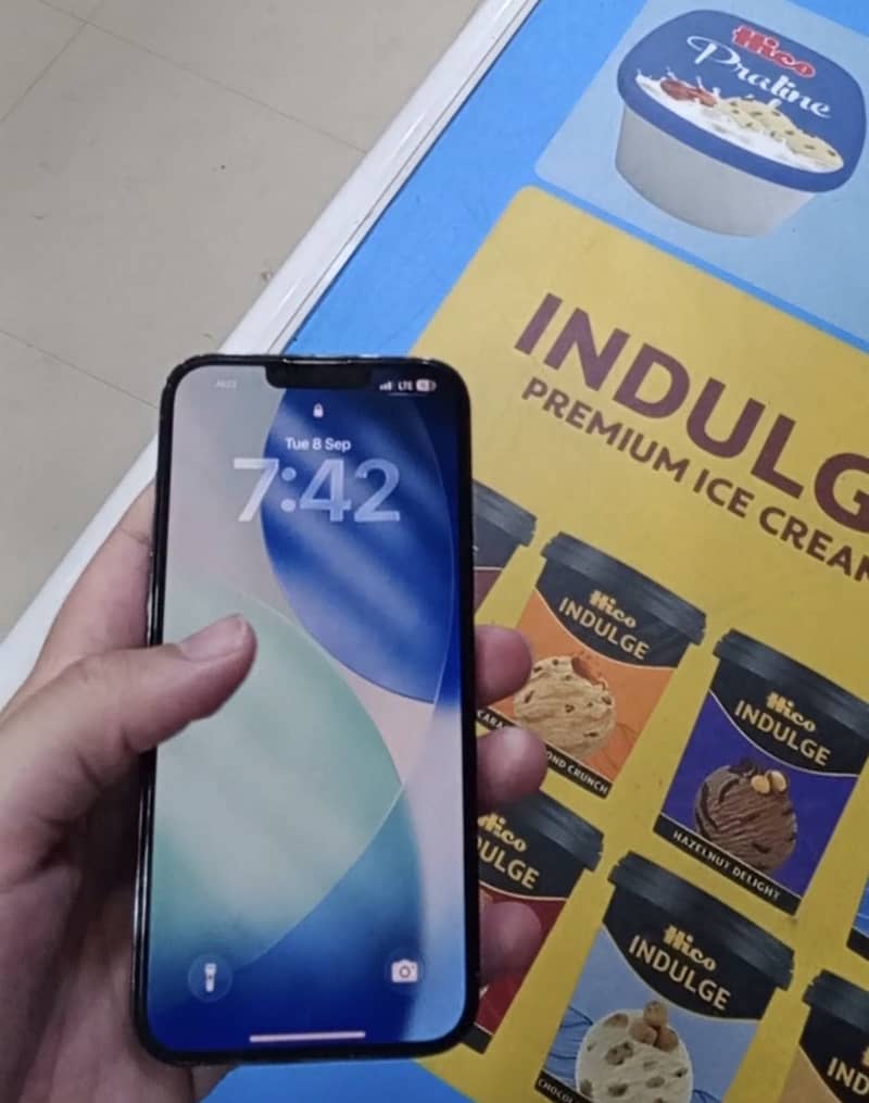 Apple iPhone 13 Pro Max 1