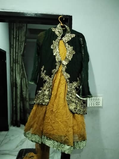 ladies dress