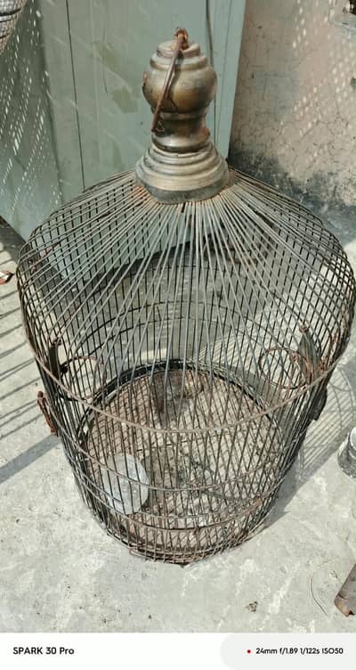 Parrot cage