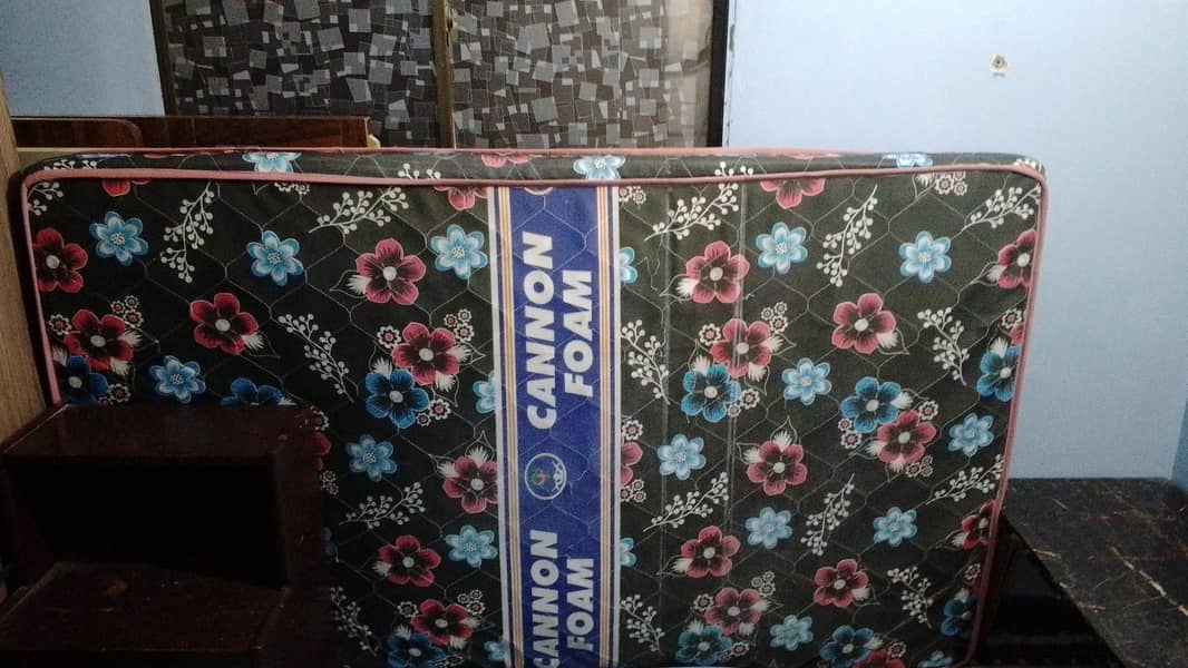 sengal 1