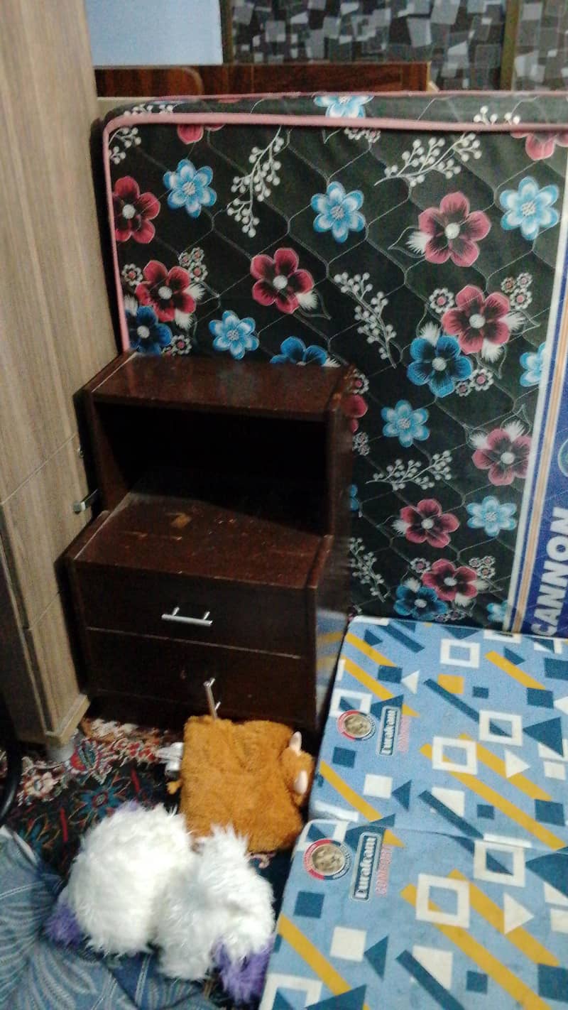 sengal 3