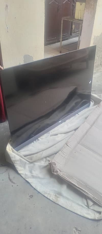 TCL 55 Size
