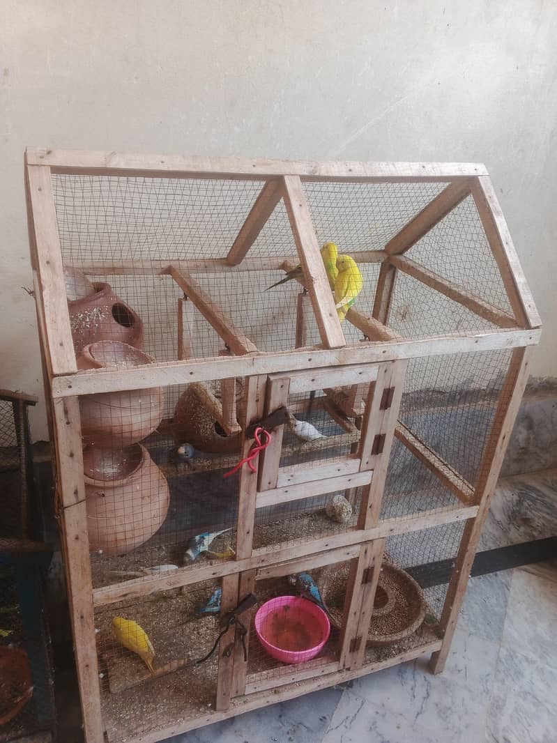 Good Parrot 3