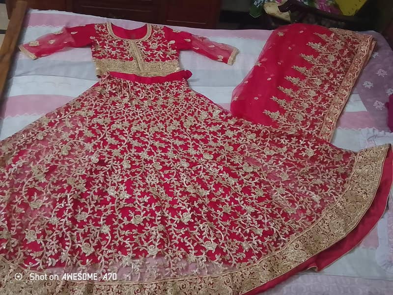 Bridel lenga 0