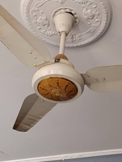 I nverter celling fan