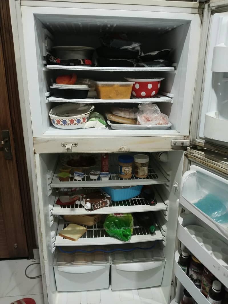 PEL refrigerator 2