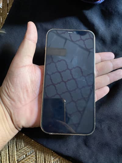 Apple iPhone 12 Pro Max