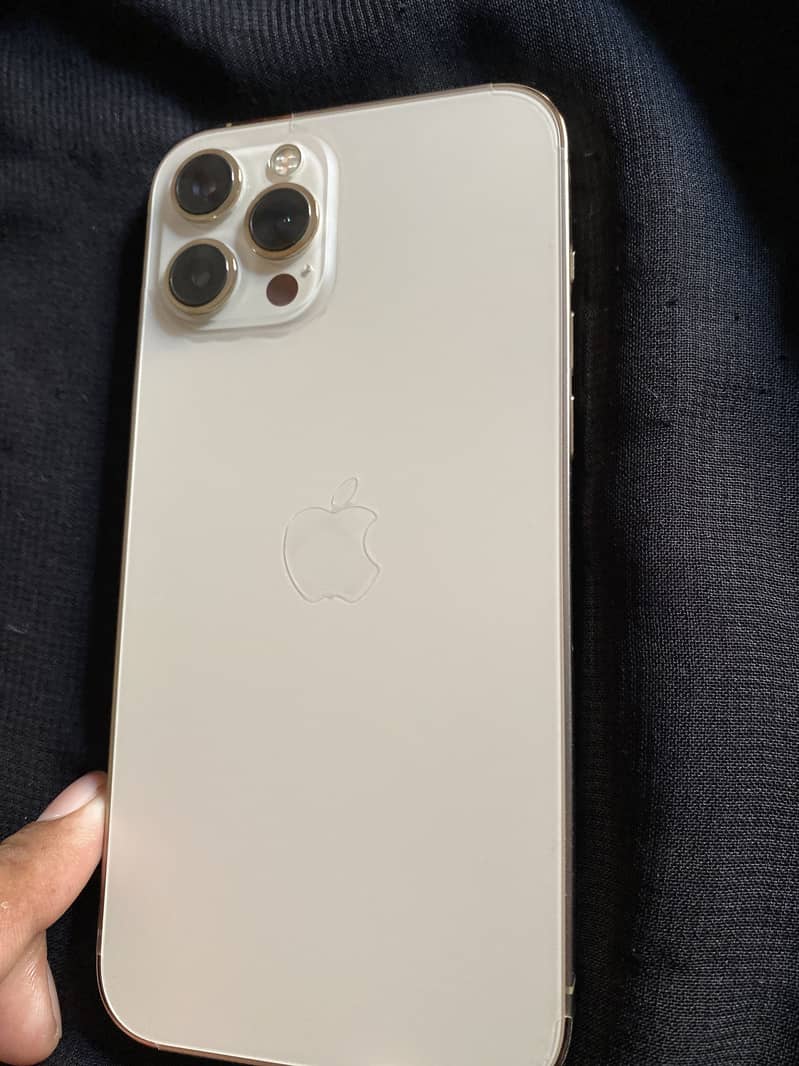 Apple iPhone 12 Pro Max 1