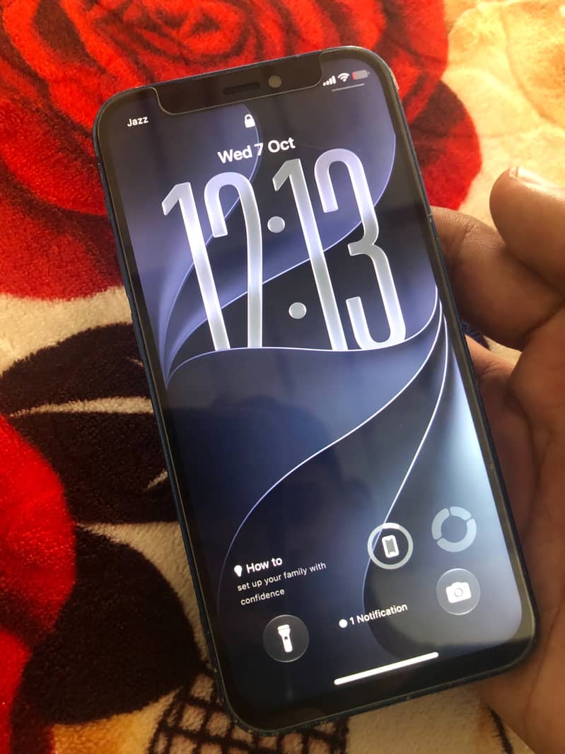 Apple iPhone 12 mini 4