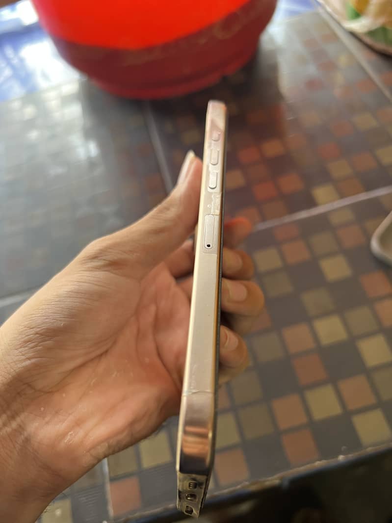 Apple iPhone 16 Pro Max 1