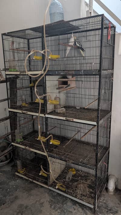 4 stories, 8 portion birds cage