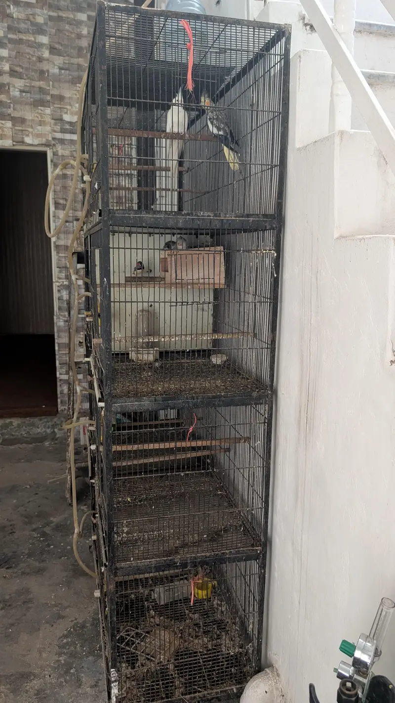4 stories, 8 portion birds cage — photo 2