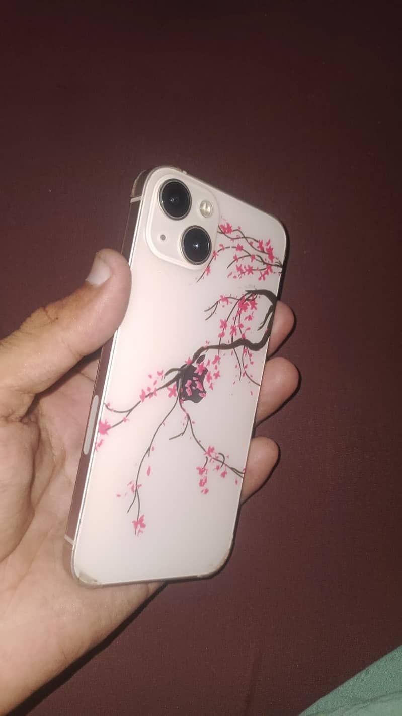 Apple iPhone 13 0