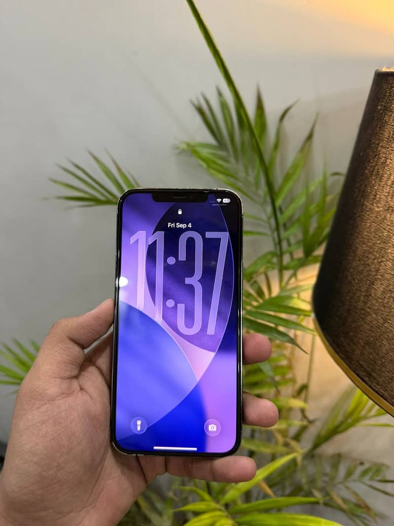 Apple iPhone 12 Pro Max 7