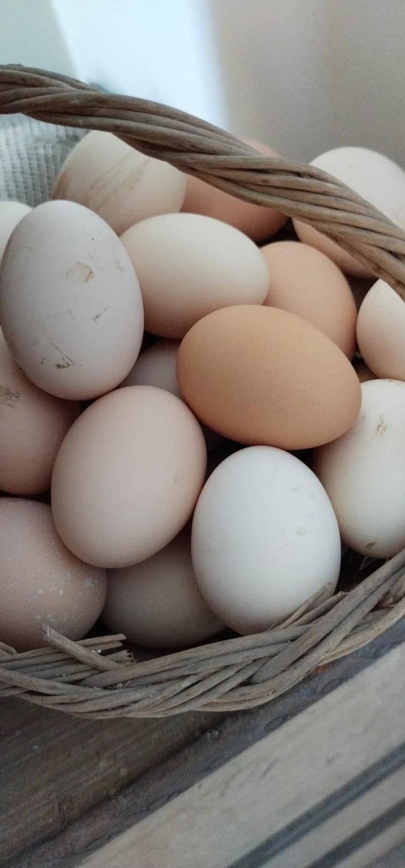 Desi Eggs  0