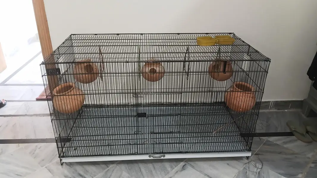 Brand New Cage for sale — photo 2