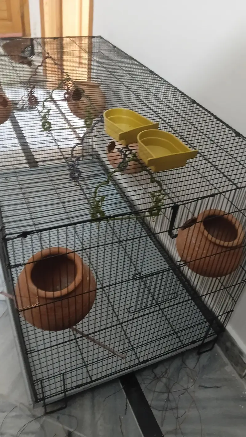 Brand New Cage for sale — photo 3
