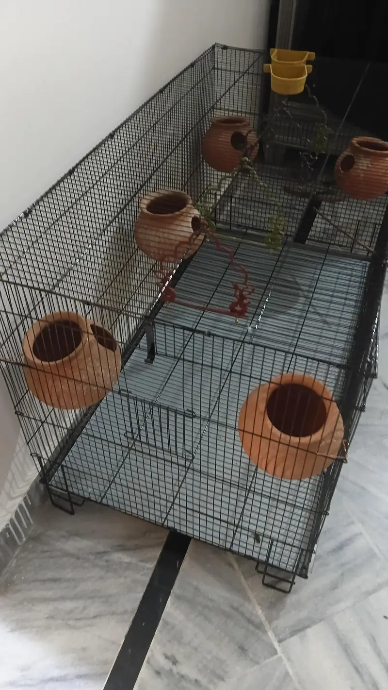 Brand New Cage for sale — photo 4