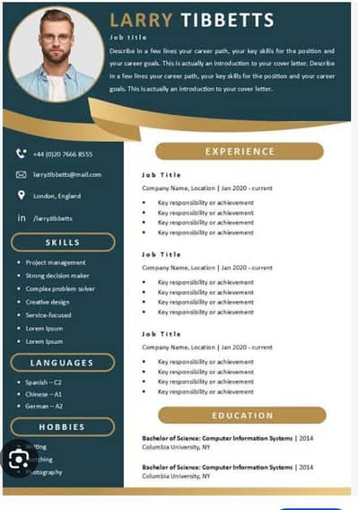professional CV Maker offline and pdf both