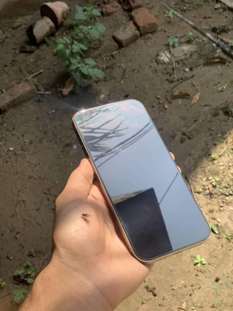 Apple iPhone 16 Pro Max sim time 5