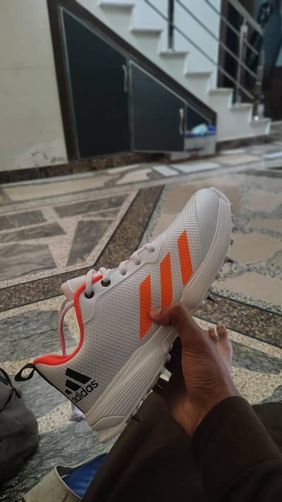 Adidas spikes shoes