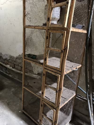 Cage peigons