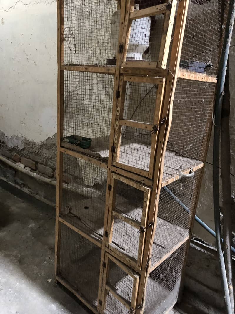 Cage peigons 0
