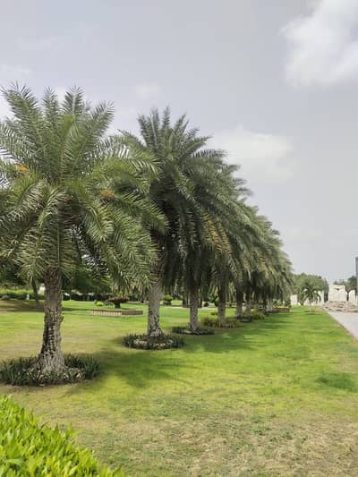 Bahria Hills 500 sqyd residential plot available for sale in Bahria Town Karachi