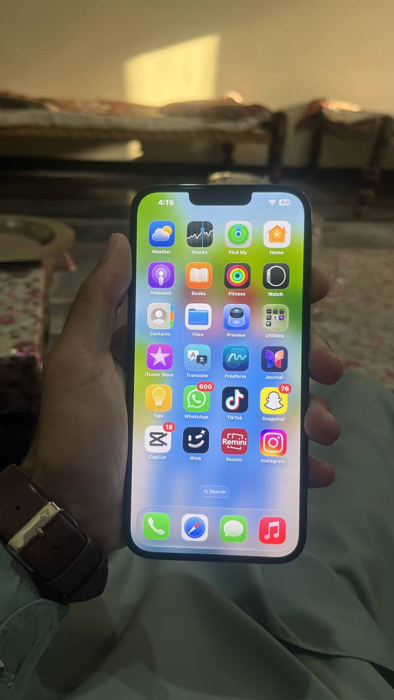 Apple iPhone 13 Pro Max 1