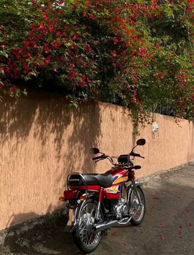 HONDA CD 70 2025
