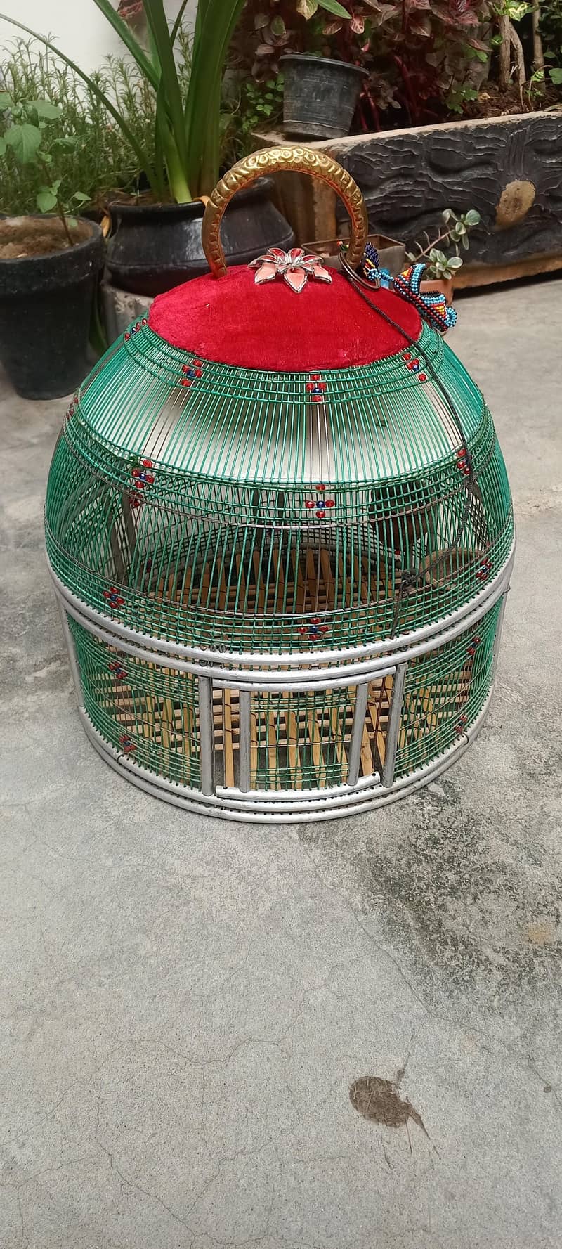teetar cage 1