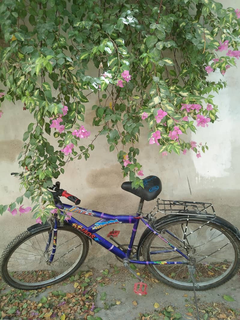 by cycle 0