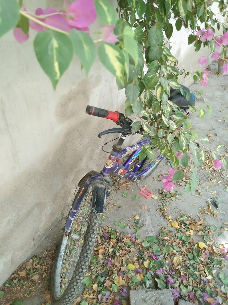 by cycle 1