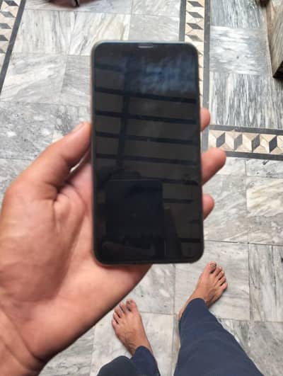 XS Max pta 256