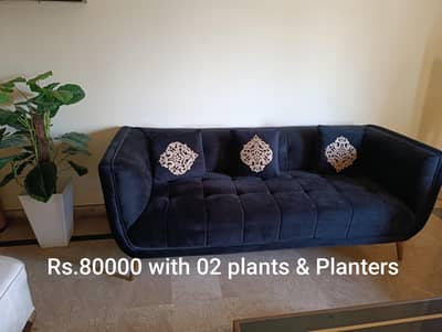 6 Seater Sofa Set