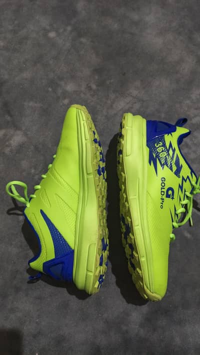 gold pro modern cricket shoes for sale