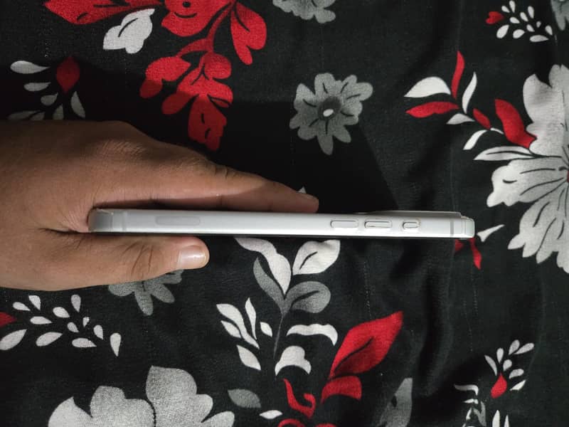 Apple iPhone 17 Pro Max 3