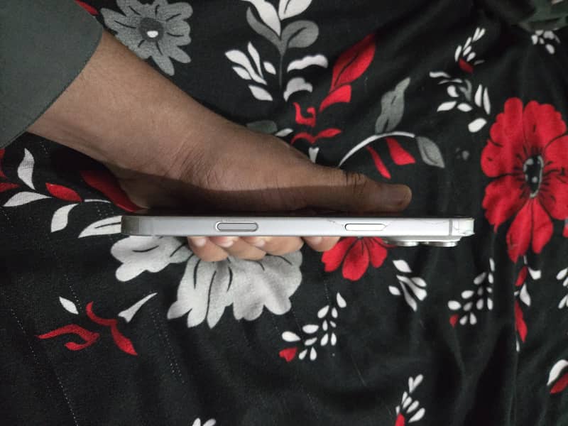 Apple iPhone 17 Pro Max 4