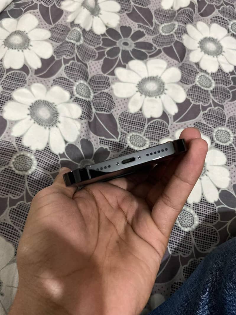 Apple iPhone 14 Pro Max 2